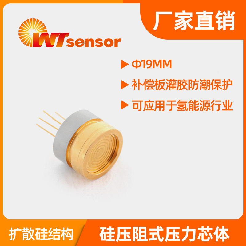 PCM10 (Φ19×14mm)数字型压力芯体 PCM10 (Φ19×14mm)数字型压力芯体